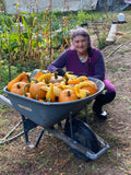 Herbal Apprenticeship Class